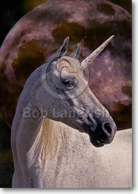 pic68SFUnicorn