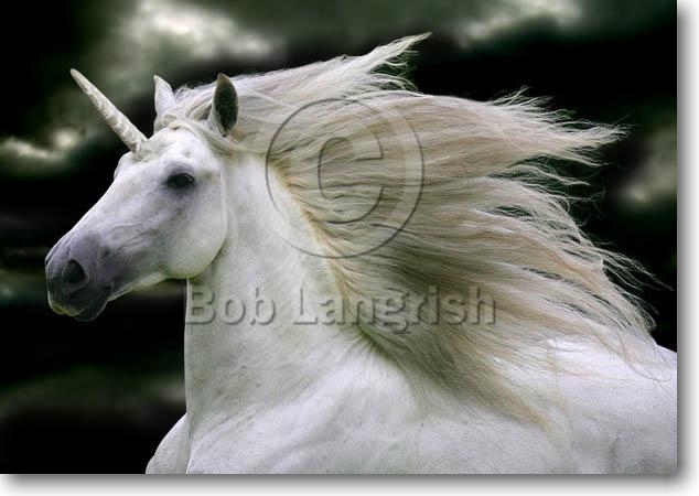 pic66SFUnicorn