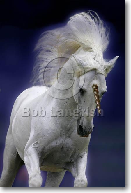 pic65SFUnicorn