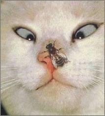 images (10)