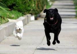 images (13)