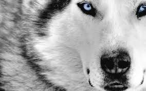 images (30)