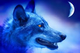 images (34)