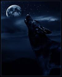 images (36)