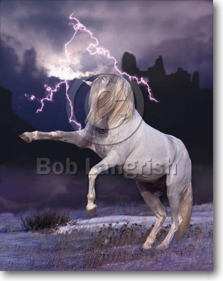 pic46SFFantasy Horses