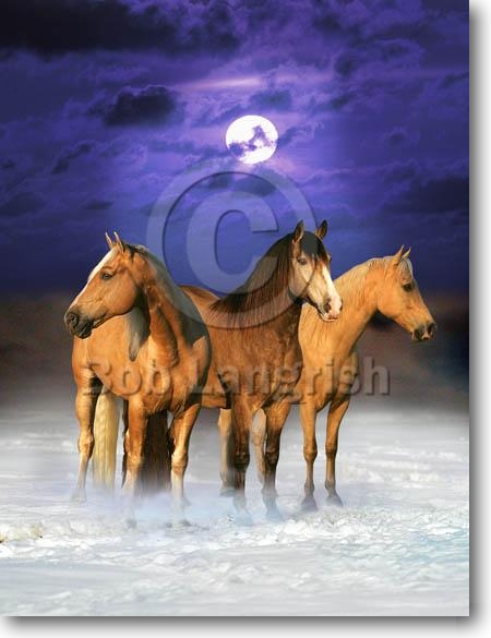 EC0910DreamHorses